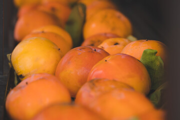 Sun dried persimmon fruit, healthy autumnal fruit khaki 