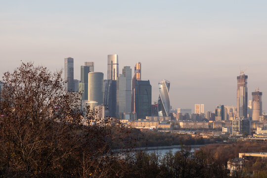 View from Vorobyevy gory or Sparrow Hills on the Moscow city business center in the autumn evening. It is a modern complex of skyscrapers on the Moskva River embankment.