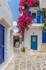 Picturesque alley with a full blooming bougainvillea and Whitewashed traditional houses in Prodromos Paros Greece