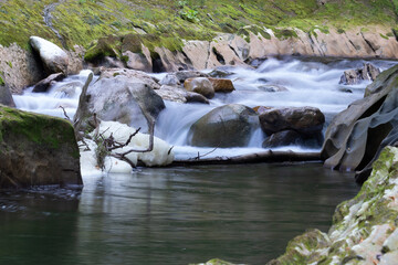 Rivière Héry sur Albi