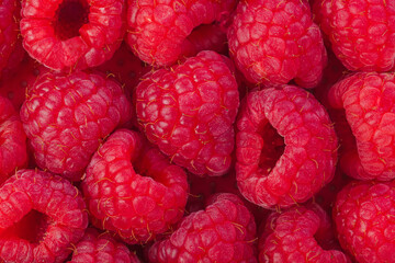 Raspberry background