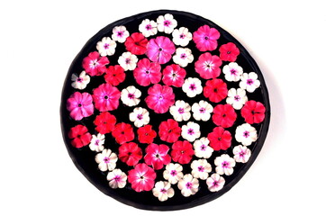 Multicolored flower mandala on floating on water plate made of fresh flowers. Floral background with nature flowers. Flower mosaic