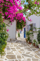 Fototapeta na wymiar Picturesque alley with a full blooming bougainvillea and Whitewashed traditional houses in Prodromos Paros Greece