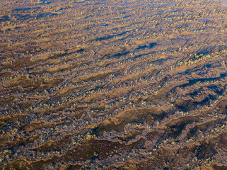 Aerial view of the swamp surface in the Republic of Karelia, northwest of Russia