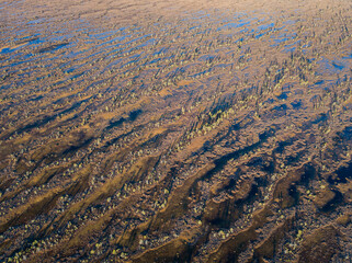 Aerial view of the swamp surface in the Republic of Karelia, northwest of Russia