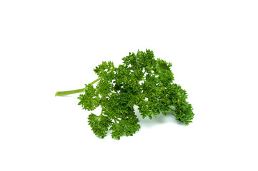 Parsley isolated on white background