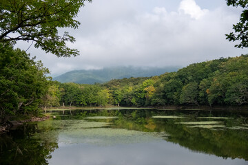 Fototapeta na wymiar Cloudy Shiretoko Five Lakes with mountain reflection