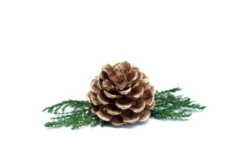 Christmas cone with sprigs of Christmas tree on white background