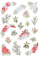 Watercolor Christmas  illustration set. Christmas bouquet. Winter collection. Holiday set. Winter wedding. Spruce branch, garnet, poinsettia, red berries, pine branch, bumps, green twigs.