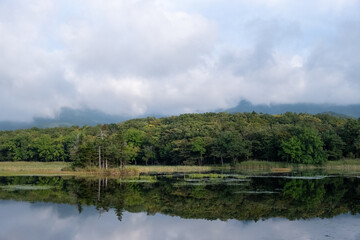 Fototapeta na wymiar View of forest reflecting in one of Shiretoko Five Lakes