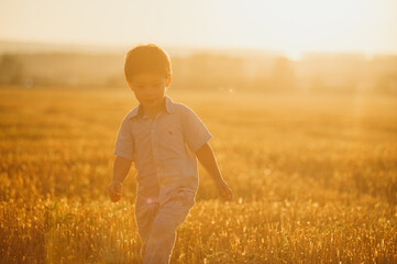 Emotional little adorable boy playing in the field in the warm rays of the setting sun in the summer.