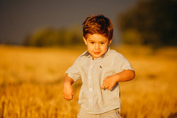 Emotional little adorable boy playing in the field in the warm rays of the setting sun in the summer.