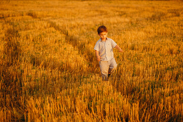 Naklejka na ściany i meble Emotional little adorable boy playing in the field in the warm rays of the setting sun in the summer.