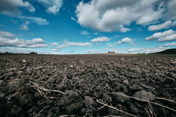 Abgeerntetes Feld im Herbst