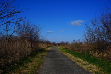 日本の淀川の河川敷の遊歩道と青空