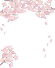 桜　フレーム　透明　満開　シンプル　イラスト