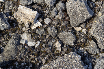 broken concrete tiles and dried moss