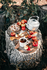 Picnic in nature. Rest in the forest. Still life on an old wooden plank in the forest. Apples. Kettle. The fire. Primus. Cup of tea. Antique dishes. Hike.