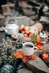 Picnic in nature. Rest in the forest. Still life on stones in the forest. Apples. Pears. Kettle. The fire. Primus. Cup of tea. Antique dishes. Hike.
