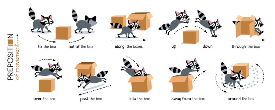 Preposition of movement. Raccoon and the box