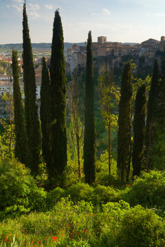 Tall Cypress trees in Cuenca, a historic walled town in Spain.