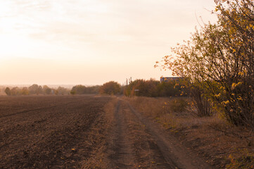Fototapeta na wymiar Landscape photo, field at sunset time