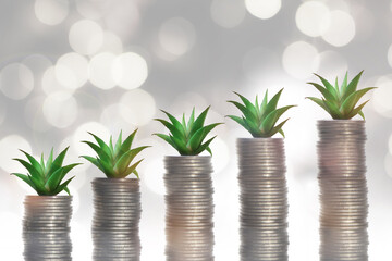 Fototapeta na wymiar Stack of coins with succulents plant glowing on abstract background. Saving with return on investment concept and sustainable economic growth idea
