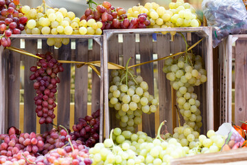 grappe de raisin dans des palettes à la saison des vendanges 