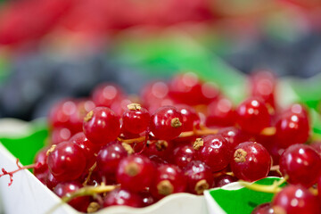 grappe de groseilles au marché