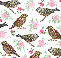 Watercolor pattern of exotic birds and flowers on a white background. Idea for wallpaper, website background, fabric, wrapping paper, prints.
