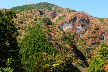 徳島県高の瀬狭の紅葉