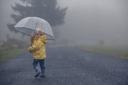 Cute blond toddler child, boy, playing in the rain with umbrella on a foggy autumn day