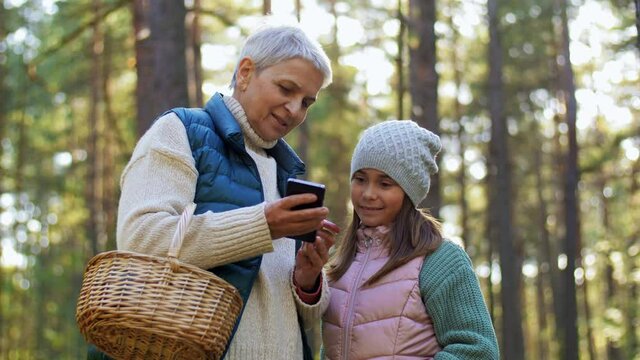 picking season, leisure and people concept - grandmother and granddaughter with baskets and smartphone using mobile app for mushrooms identification in forest
