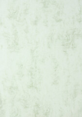 Texture and pattern of green paper. Background with copy space for text or image
