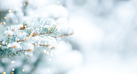 White snow lies on the branches of a Christmas tree. Photo for greeting cards. Christmas mood. Long...