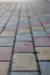 low angle of coloured bricks red grey yellow