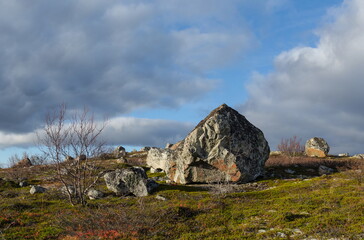 Fototapeta na wymiar Autumn tundra . Huge stone . Storm clouds and moss.