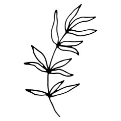 Trendy abstract organic and graphic element