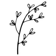 Hand drawn wedding herb, plant