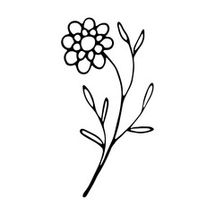floral flower hand drawn doodle icon for social media story