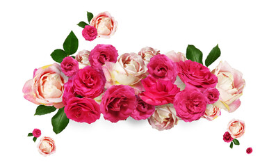 Floral arrangement bouquet of roses on white background