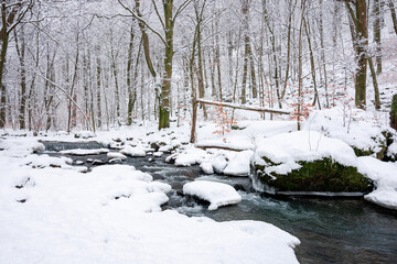 water stream in the winter forest. trees and shore covered in snow