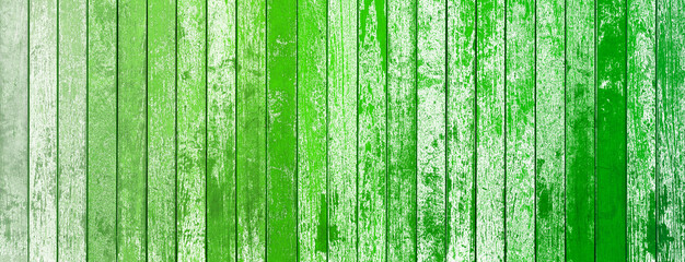 green wood background 