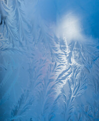 ..the frosty patterns on the window