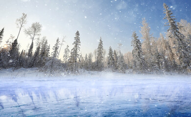 forest by the lake, winter landscape, transparent ice nature view