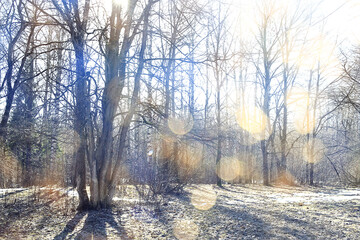 autumn season landscape in park, view of yellow trees alley background