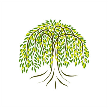 Willow Tree Landscape With circle shape Vector Nature