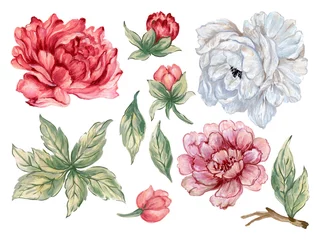 Gordijnen Vintage Bloemen Hand drawn asian peonies and ranunculus  flower leaves foliage  and leaf Illustration element on white background for rsvp card, seamless pattern, backdrop  © HoyaBouquet