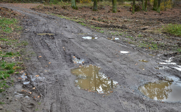 To Fall In A Dirt Road From Forest Workers Who Harvested Wood From The Forest And Took It Away. However, They Did Not Return The Path To The Clearing To Its Original Navigable Condition