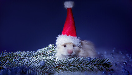 Cute Christmas hamster in the snow and with a Christmas tree